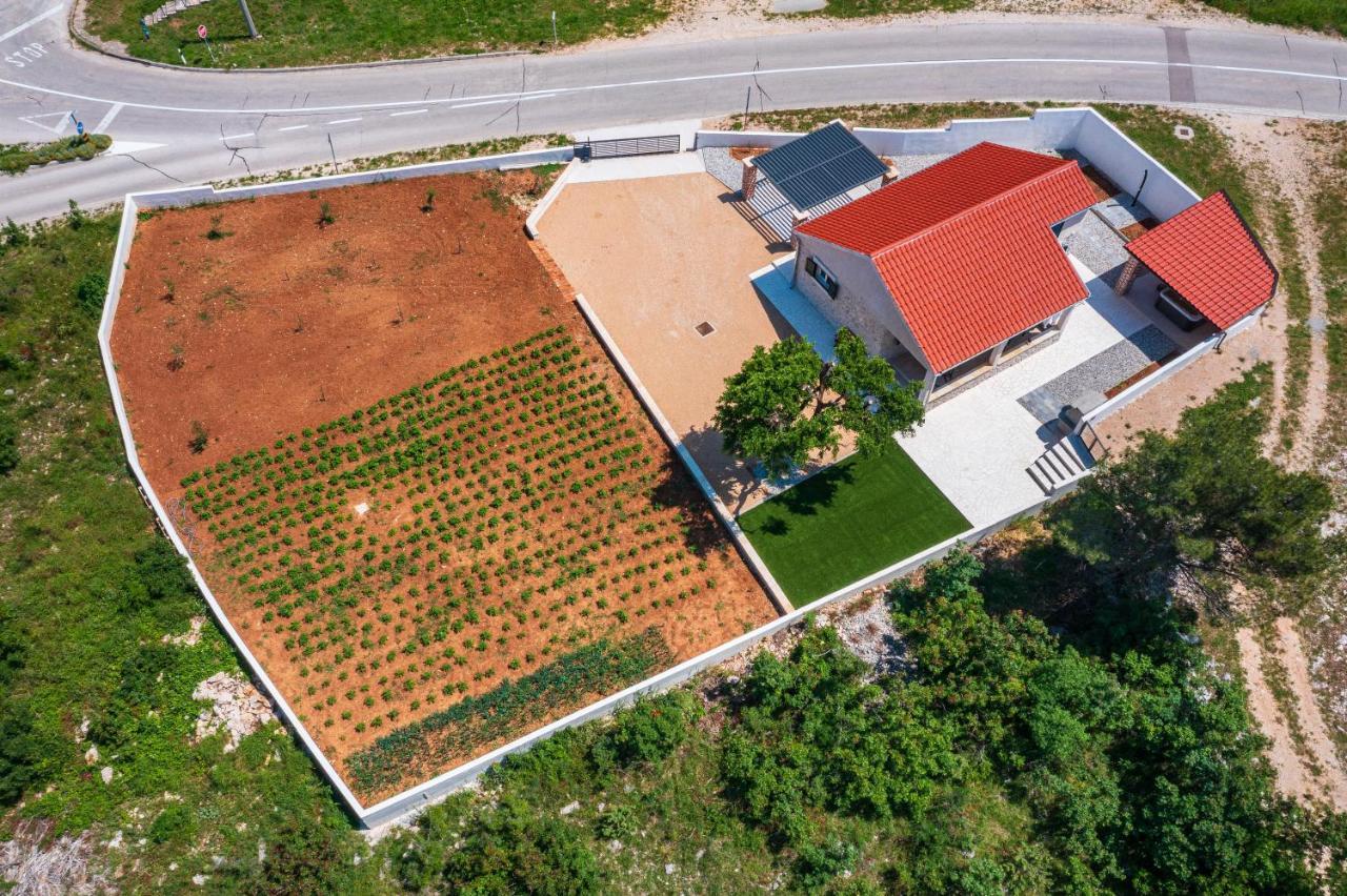 Holiday Home Figurica Novigrad  ภายนอก รูปภาพ