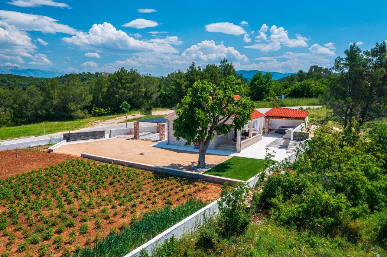 Holiday Home Figurica Novigrad  ภายนอก รูปภาพ